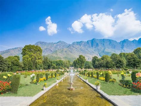 shiva shalimar bagh.